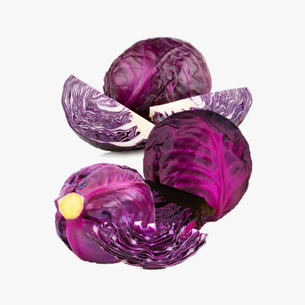 Fresh Premium Purple Cabbage