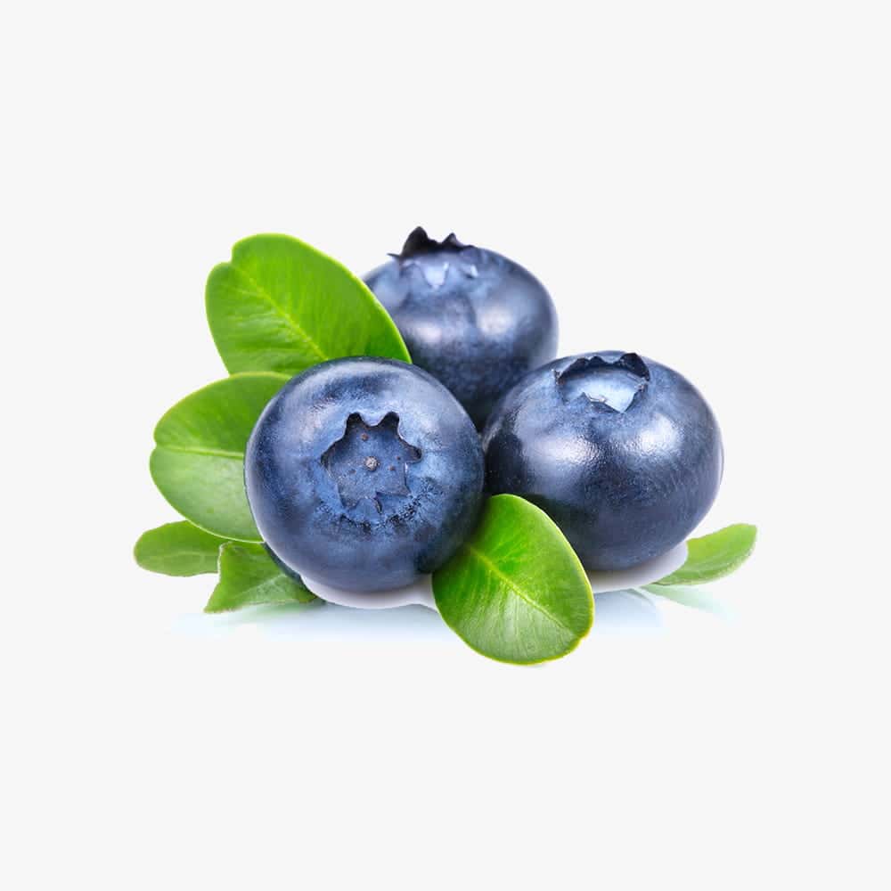 Fresh Blueberries
